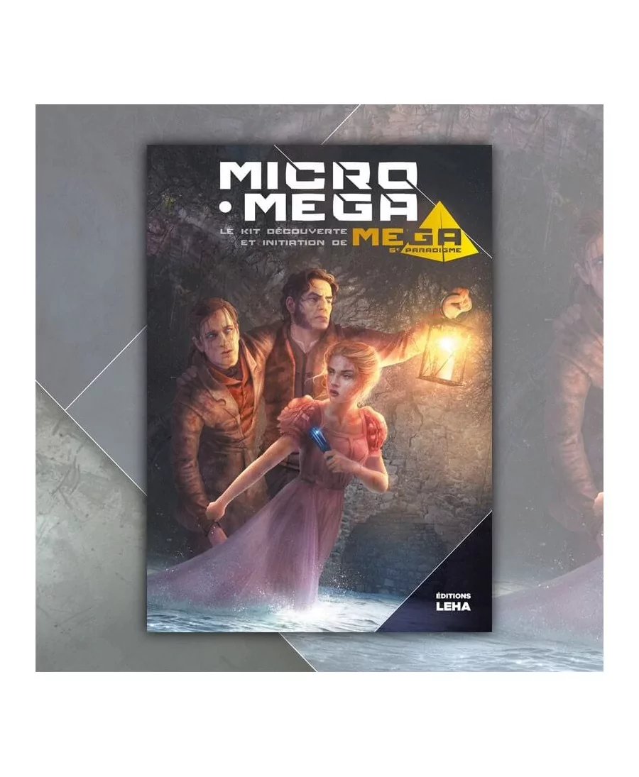 Mega 5e Paradigme : Micro Mega